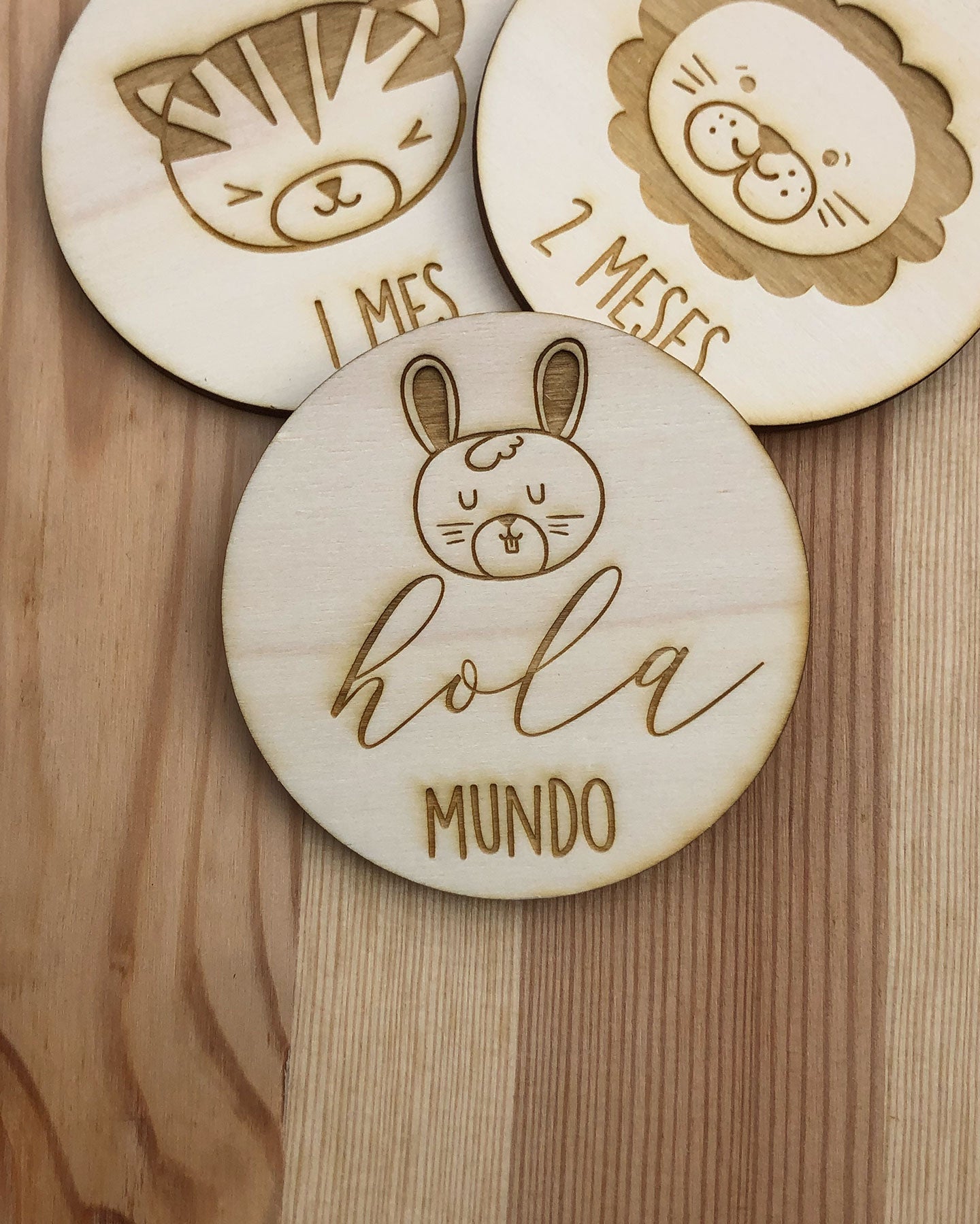 Placas cumple meses animales