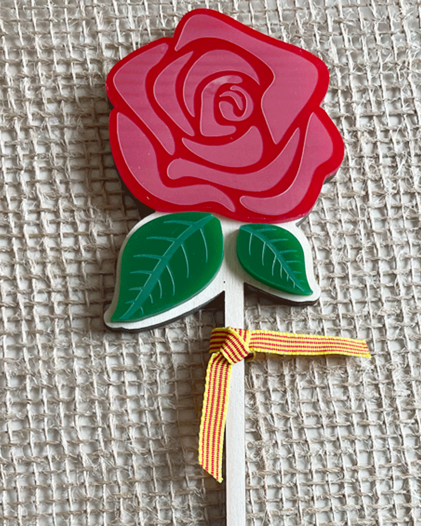 Rosa Sant Jordi