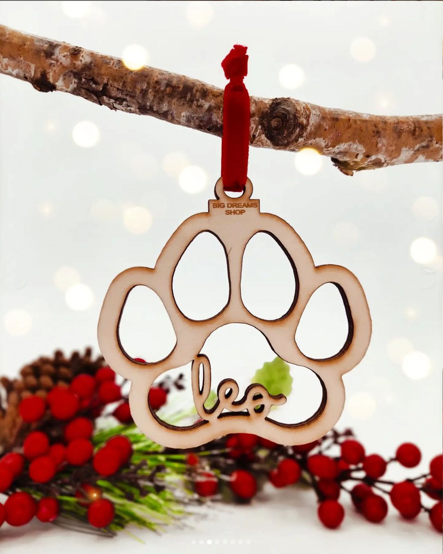 Pack Familia con mascota