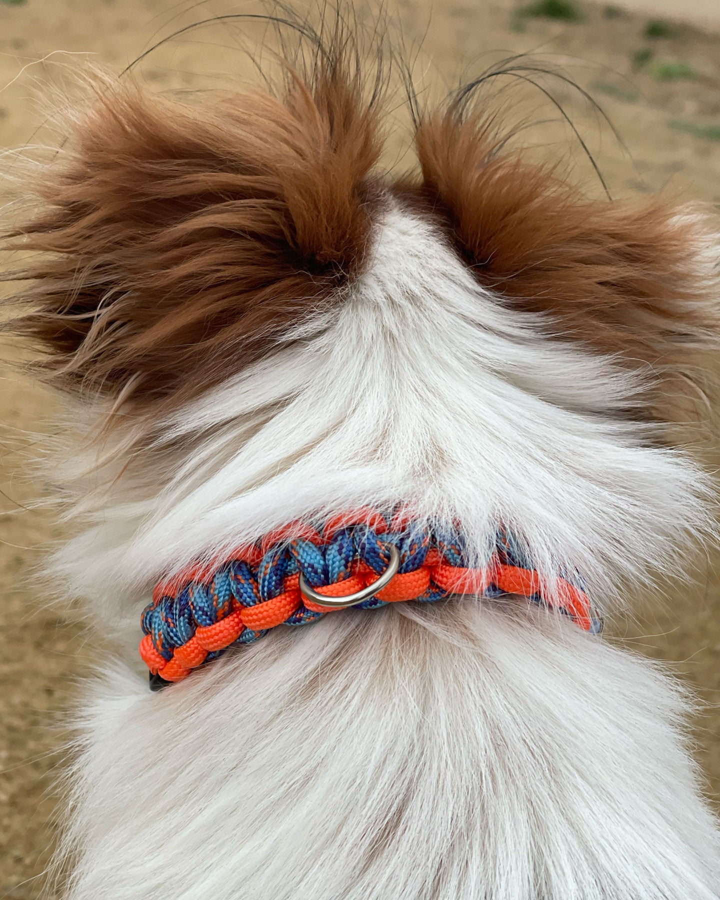 Collar  Parracord Tapón