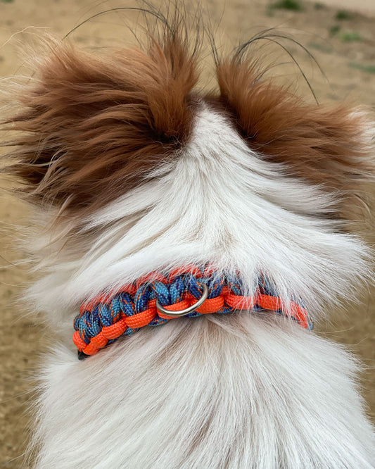 Collar  Parracord Tapón