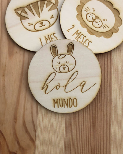 Placas cumple meses animales